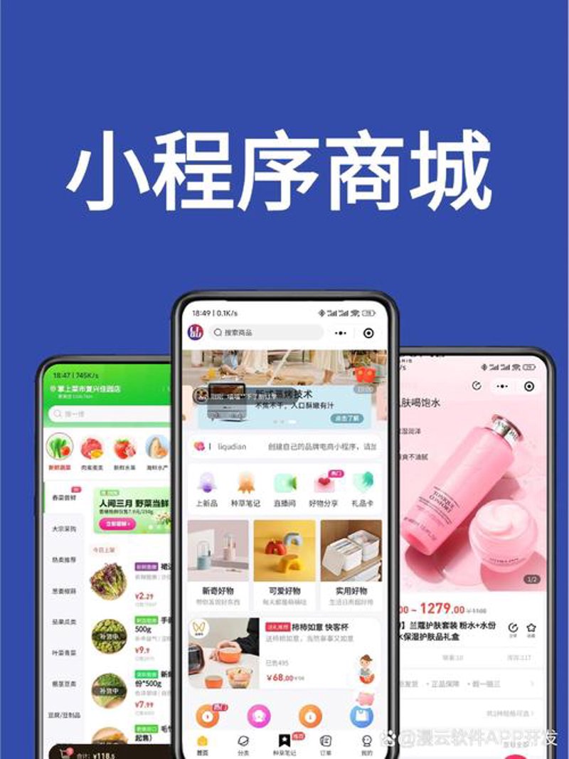 长春软件开发：数字化转型的加速引擎